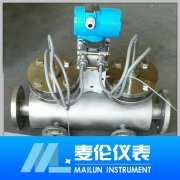 <b>楔形流量計</b> <b>楔形流量計</b>