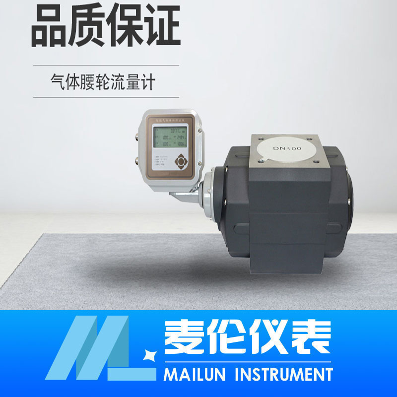 <b>氣體腰輪流量計</b> <b>氣體腰輪流量計</b>